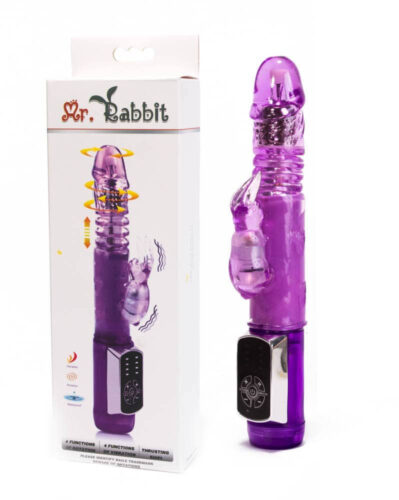 Mr. Rabbit Vibrator Purple - Vibratoare Rabbit Si Punctul G